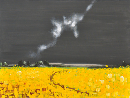Finn Baxley + Wild mustard fields